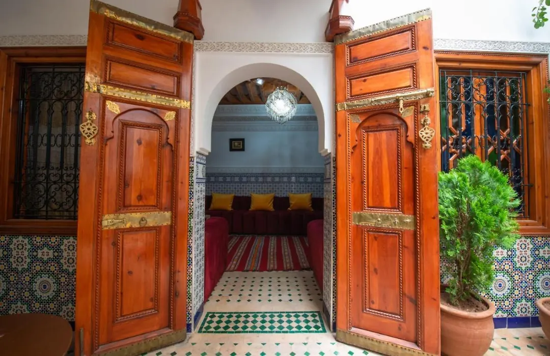 Riad Amely-1