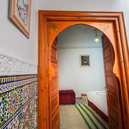 Riad Amely-3