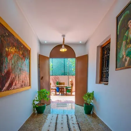 Riad Amely-3